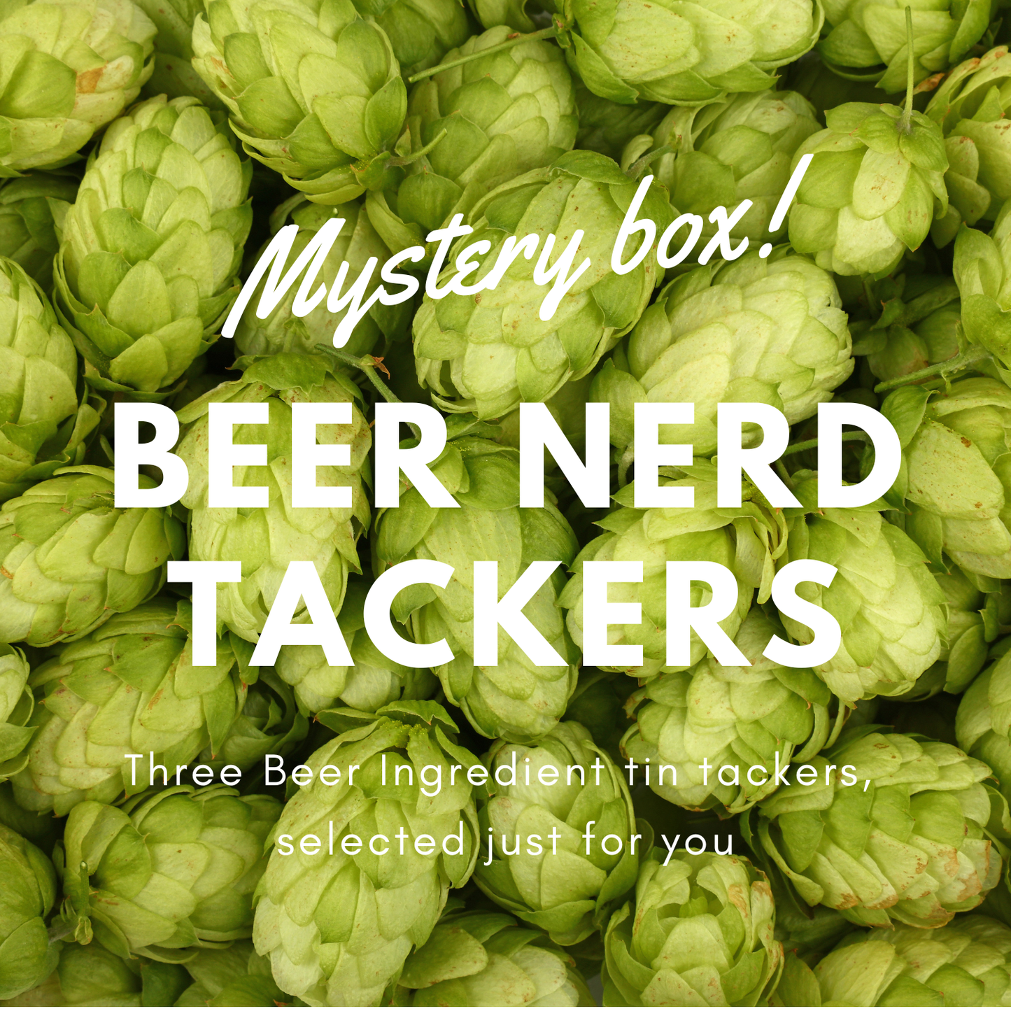 Beer Nerd Mystery Box: Set of 3 Collectible Brewing Ingredient Tin Tackers