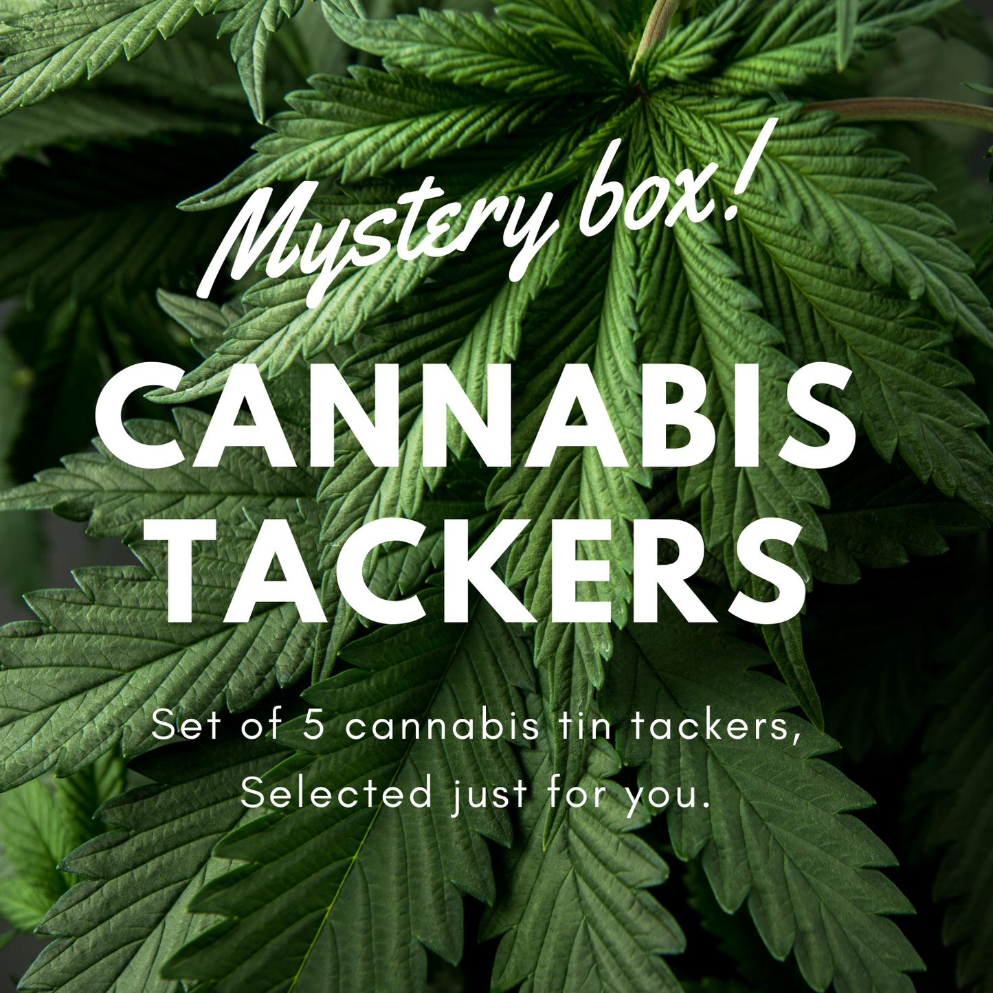 Cannabis-Themed Tin Tackers Mystery Box: Set of 5 Collectible Signs