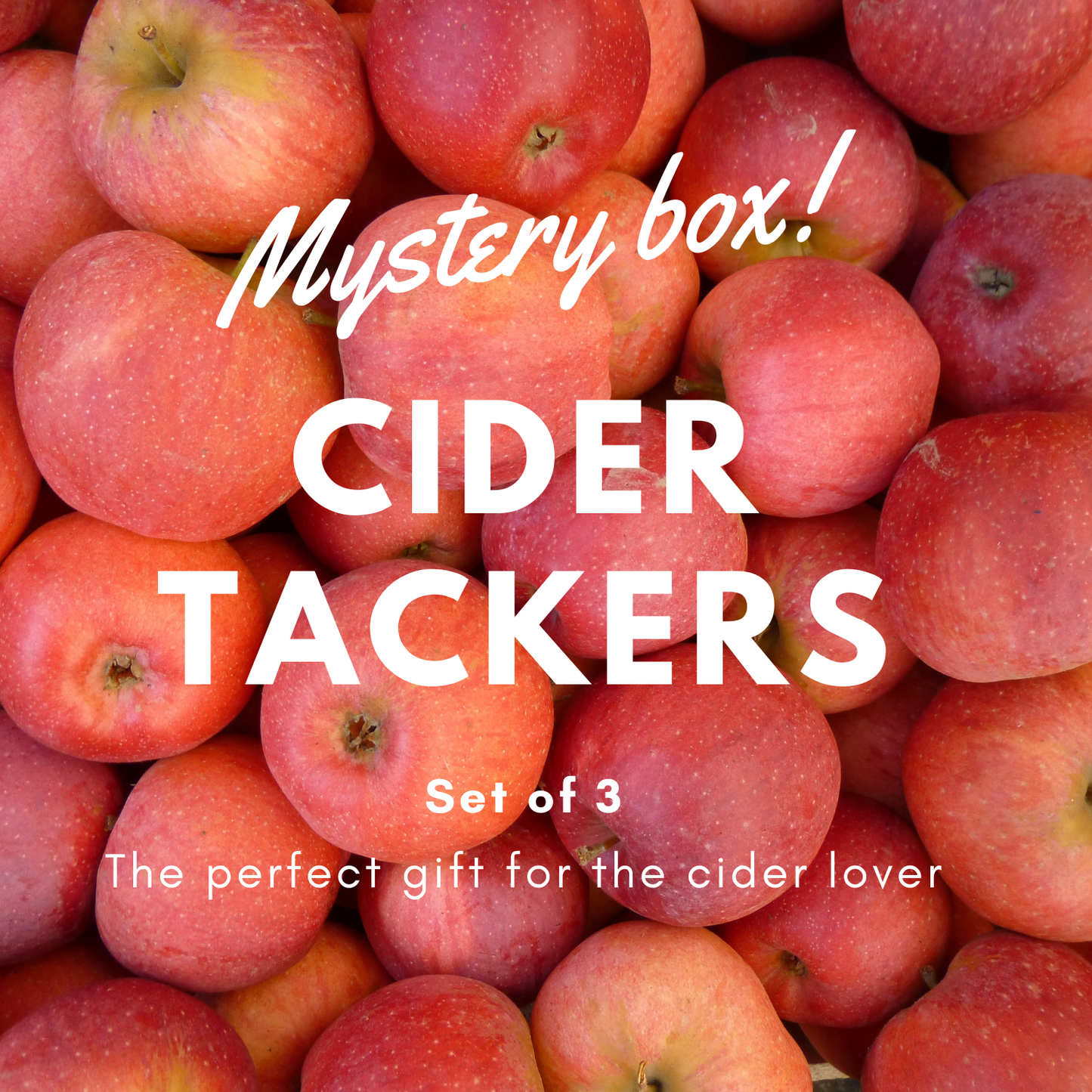 Cider Tin Tackers Mystery Box: Set of 3 Collectible Signs